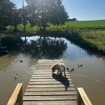 Ferme Landaise Le Line -piscine Et Salle De Sport