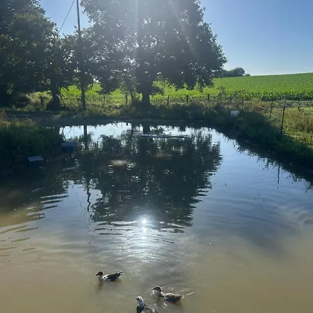 Ferme Landaise Le Line -piscine Et Salle De Sport Βίλα Orist