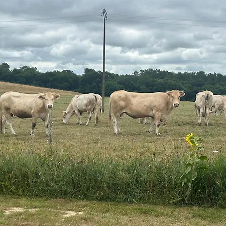 Ferme Landaise Le Line -piscine Et Salle De Sport *