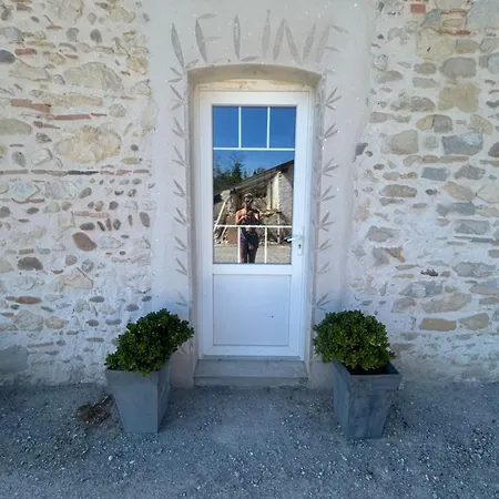 Βίλα Ferme Landaise Le Line -piscine Et Salle De Sport *